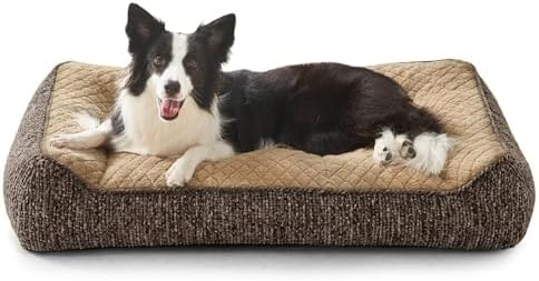 JOEJOY XL Orthopedic Dog Beds Large Sized Dog, Extra Thick Supportive Big Dogs Couch Bed with Sides, Ultra Soft Pet Bed Sofa for Large Dogs, Brown, 38''x28''