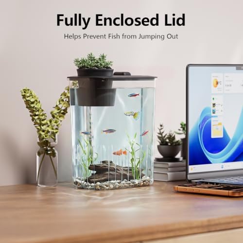 1 Gallon Betta Fish Tank Aquarium Starter Kit with Light and Lid(Black)