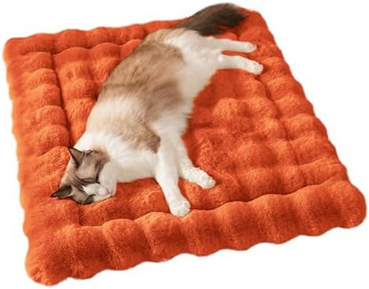 SOMAHE Soft Plush Cat Bed Mat, Machine Washable, Small 23x15 Vibrant Orange