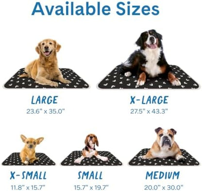 The Green Pet Shop Cool Pet Pad - Extra Small, Disney’s Mickey & Minnie Mouse - Self-Cooling, Pressure Activated Mat for Dogs & Cats from 0-8 lbs - Non-Toxic Gel, No Water Needed