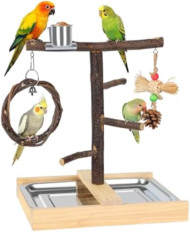 Bird Playground Natural Wooden Parrot Play Stand