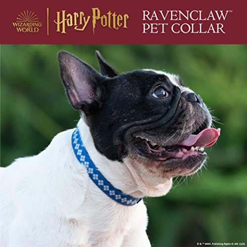 Harry Potter Ravenclaw Dog Collar, Medium