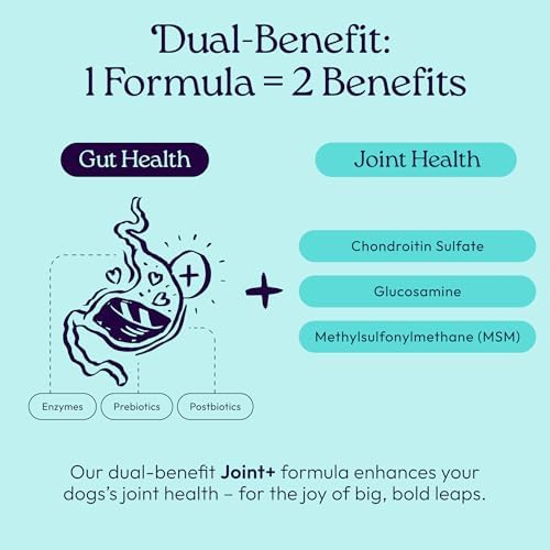 WellJoy Joint Dog Supplement + Glucosamine, Chondroitin, GutBoost, 90ct