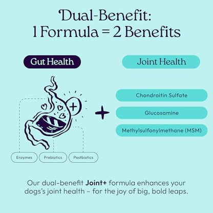 WellJoy Joint Dog Supplement + Glucosamine, Chondroitin, GutBoost, 90ct