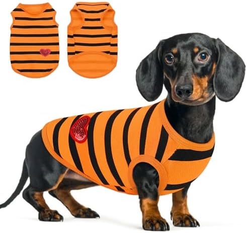 Queenmore Small Dog Shirt,Soft Breathable Dog Shirt for Dogs Cats Boy Girl,Pet Clothes for All Season,Breathable Lightweight Pet Tshirt for Frenchie, Dachshund, Yorkie