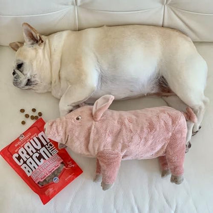 Stella & Chewy's Training Dog Treats - Crav'n Bac'n Soft Bacon & Pork Bites - Premium USA Made - Low Calorie Rewards - 8.25oz