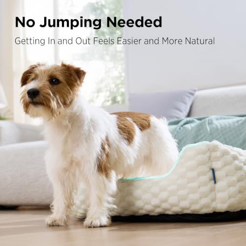 Bedsure Washable Fluffy Cute Dog Beds for Small & Medium Dogs, 25 Inch Grey