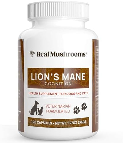 Real Mushrooms Lion's Mane Supplement for Cats and Dogs, 120ct