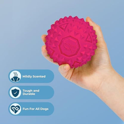 Best Pet Supplies Squeaky Dog Toys with Soft Durable Fabric for Small, Medium and Large Pets Interactive Toy for Indoor Play, Supports Active Biting and Play - Fuchsia, Large