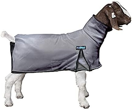 ProCool™ Goat Blanket with Reflective Piping, Small, Gray