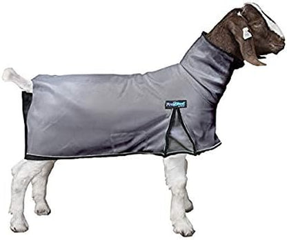 ProCool™ Goat Blanket with Reflective Piping, Small, Gray