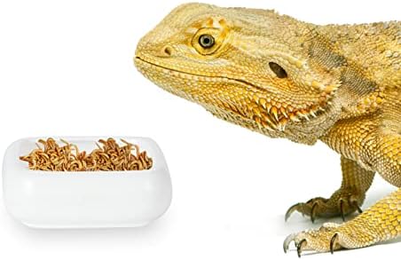 Ceramic Reptile Food Bowls, Reptile Water Food Dish (White, Small 1-Pack)