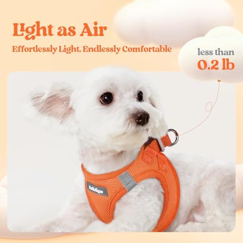rabbitgoo Dog Harness Medium Sized and Leash Set, Step-in Puppy Pet Vest