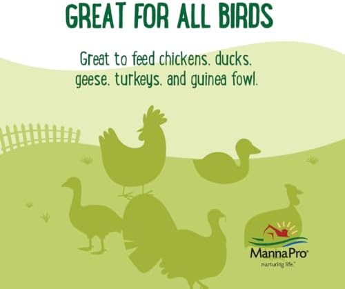 Manna Pro Coop Cakes Chicken Treats, Dried Mealworms & Sunflower, 3 Cakes