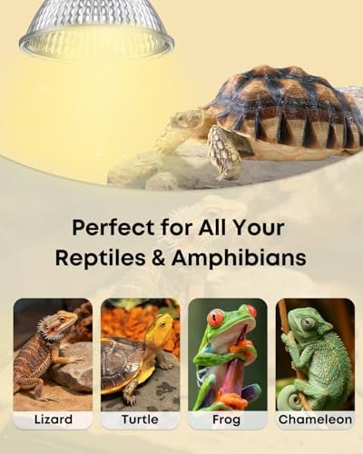 Pawfly 4 Pcs Heat Lamp Bulbs for Reptiles, 50 W UVA UVB Bulb, Reptile Heat Bulb Replacement, Turtle Lamp for Turtle Tank, Turtle Light for Bearded Dragon, Tortoise, Lizard & Chameleon