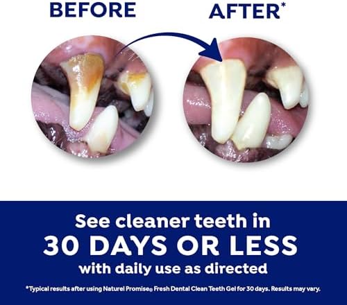 Fresh Dental Dog Toothpaste for Teeth Cleaning, Dog Breath Freshener, Easy Plaque & Tartar Remover Gel, No Toothbrush Needed, Effortless Dental Care, Minty Flavored Toothpaste, Made in USA, 4oz.