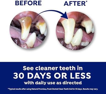 Fresh Dental Dog Toothpaste for Teeth Cleaning, Dog Breath Freshener, Easy Plaque & Tartar Remover Gel, No Toothbrush Needed, Effortless Dental Care, Minty Flavored Toothpaste, Made in USA, 4oz.