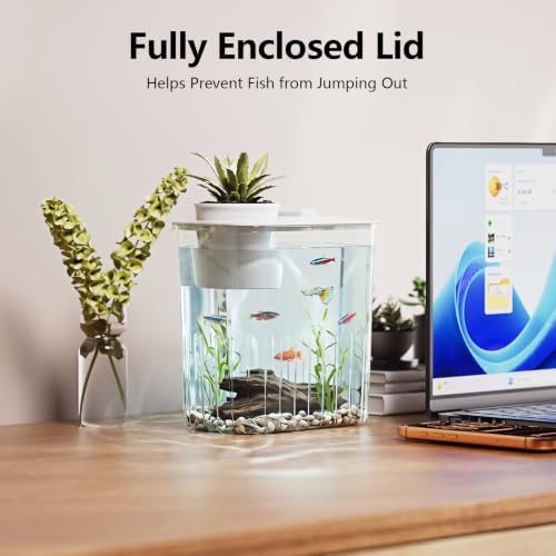 0.8 Gallon Betta Fish Tank Aquarium Starter Kit with Light and Lid(White)