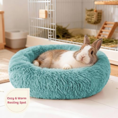 Rabbit Bed, Long Plush Donut Shaped Bunny Hideout - Turquoise