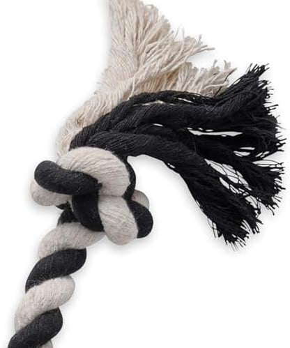 Pet Passion Natural Rubber Tire and Organic Cotton Rope Pull and Chew Dog Toy for All Pet Breeds, Black, Small
