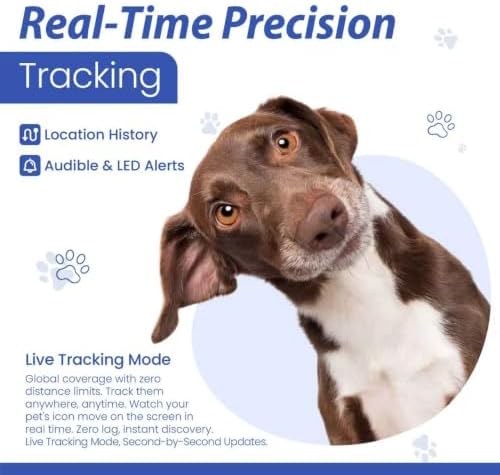 Pet Real Time GPS Tracker, Smart Dog Tracker GPS with 1 Month Subscription