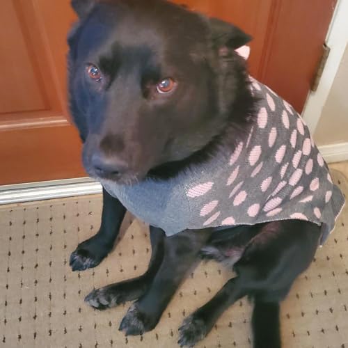 KYEESE Dog Sweater Dress for Medium Large Dogs Turtleneck Thick Knit