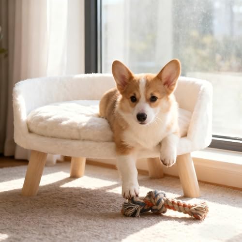 Elevated Dog Bed: Raised Dog Bed Round with Cozy Pad Waterproof - Nordic Wooden Doggie Sofa Bed with Sturdy Wood Legs Anti Slip for Medium Dogs Rabbit