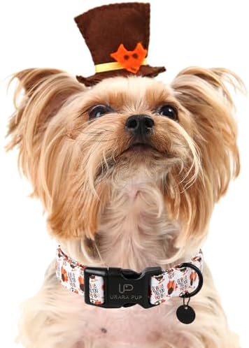 Thanksgiving Dog Collar - Turkey Cotton for Dog or Cat, Autumn Puppy With Lightweight Plastic Buckle - Great Gift for Girl Boy Dogs, M