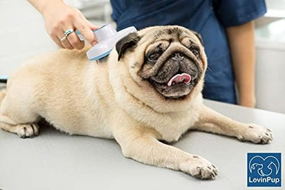 Pet Slicker Brush – Self Cleaning Brush for Dogs & Cats