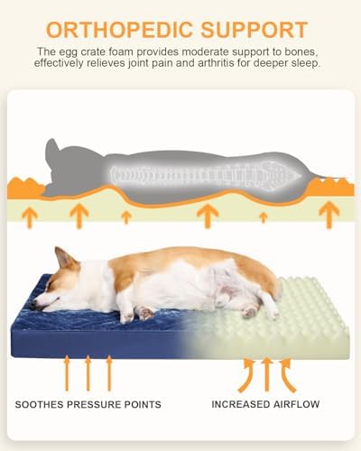 KSIIA Orthopedic Dog Bed for Medium Dogs with Waterproof Lining,Blue, 29x18