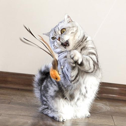 miwoowim Interactive Cat Wand Toy Set, 2 Telescopic Rods & 11 Attachments