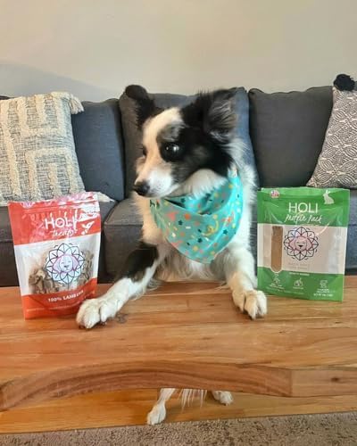 HOLI Rabbit Dog Food Topper, Freeze Dried, 4oz