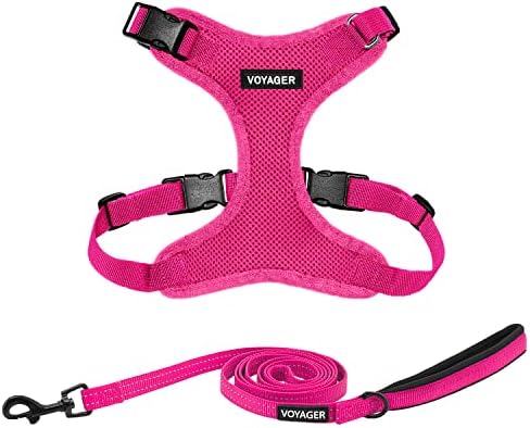 Best Pet Supplies Voyager Step-in Lock Pet Harness w Reflective Pet Leash Combo Set with Neoprene Handle 5ft - Supports Small, Medium and Large Breed Puppies/Cats - Fuchsia Set, M