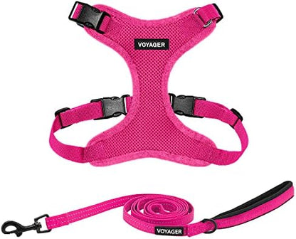 Best Pet Supplies Voyager Step-in Lock Pet Harness w Reflective Pet Leash Combo Set with Neoprene Handle 5ft - Supports Small, Medium and Large Breed Puppies/Cats - Fuchsia Set, M