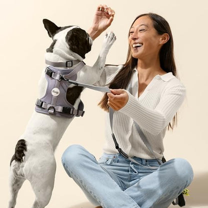 WLK1004N-5SET Luna Small 8FT Adjustable 6-in-1 Waterproof Hands-Free Leash and Collar with LED Flashlight, Bag Dispenser, and Poop Bag Holder, Martini