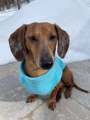 Gooby Zip-Up Fleece Dog Sweater, Turquoise, X-Small