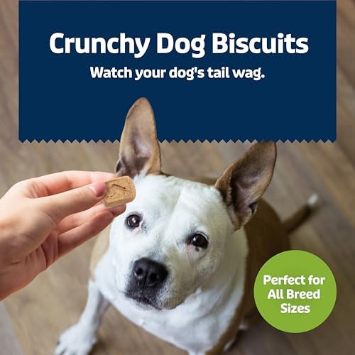Blue Buffalo Health Bars Mini Crunchy Dog Biscuits, Oven-Baked with Natural Ingredients, Apples & Yogurt, 32-oz Bag (Pack of 2)