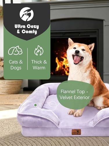 Spotted Play Orthopedic Dog Bed with Sides - Sofa Beds for Medium Dogs, Supportive Foam Pet Couch Bed with Washable Removable Cover, Waterproof Lining and Non-Slip Bottom, Purple - M