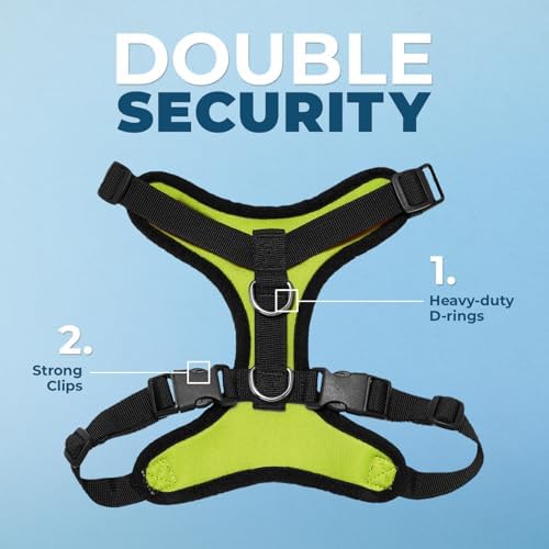 Best Pet Supplies Voyager Step-in Lock Pet Harness w Reflective Pet Leash Combo Set with Neoprene Handle 5ft - Supports Small, Medium and Large Breed Puppies/Cats - Lime Green/Black Trim Set, L