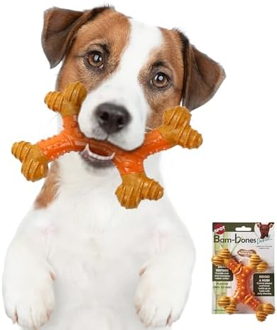 SPOT Bam-Bones Dental X-Bone - Made with Bamboo Fiber and a Massaging Rubber Center, Durable Oral Care Dog Chew for Light Chewers & Teething Puppies under 40lbs, 8in Allergen Free Peanut Butter Flavor
