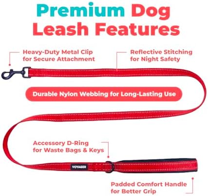 Best Pet Supplies Voyager Nylon Dog Leash - Red, Small