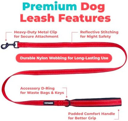 Best Pet Supplies Voyager Nylon Dog Leash - Red, Small