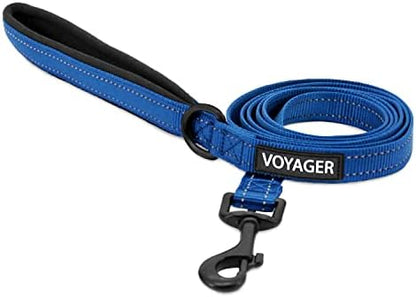 Best Pet Supplies Voyager Nylon Dog Leash - 6ft Royal Blue, Large
