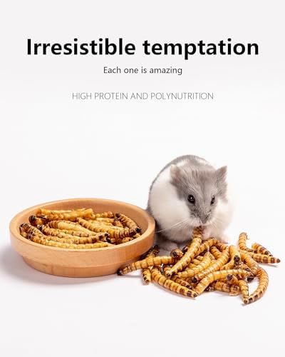 Niteangel Small Animal Snack & Treats - Dried Worms & No Additive