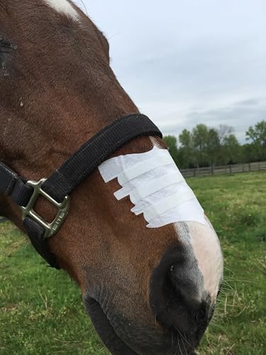 Flair Equine Nasal Strips for Horses (USA, 6 Pack), Adhesive Equine Nasal Strips & Support, Breathing Improvement for Competition and Training Horses, Equine Health Supplies, Breathing Aid