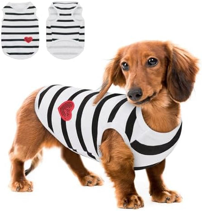 Queenmore Large Dog Shirt,Soft Breathable Dog Shirt for Dogs Cats Boy Girl,Pet Clothes for All Season,Breathable Lightweight Pet Tshirt for Frenchie, Dachshund, Yorkie