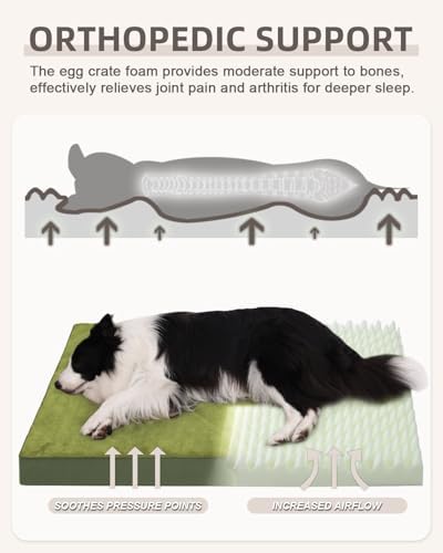 KSIIA Orthopedic Dog Bed for Extra Large Dogs with Waterproof, Green, 47x29