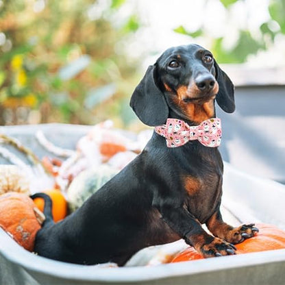 Lionheart Glory Halloween Dog Collar Bowtie - Heavy Duty & Adjustable - Fall Holiday Collar for Large Dogs - Female or Male - Gift