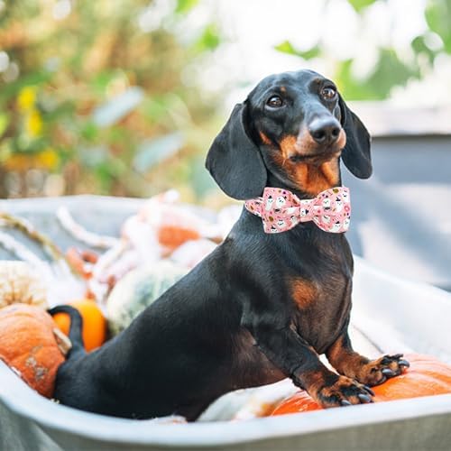Lionheart Glory Halloween Dog Collar Bowtie - Heavy Duty Adjustable Fall Holiday Collar for Medium Dogs - Bow for Female or Male Pets - Gift