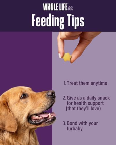 Whole Life Dog – Crunchables Dog Treats for Gut Health & Digestive Support, Constipation Relief, Digestive Health & Immune Support for Sensitive Stomachs, Pumpkin & Yogurt Crunchy Treats